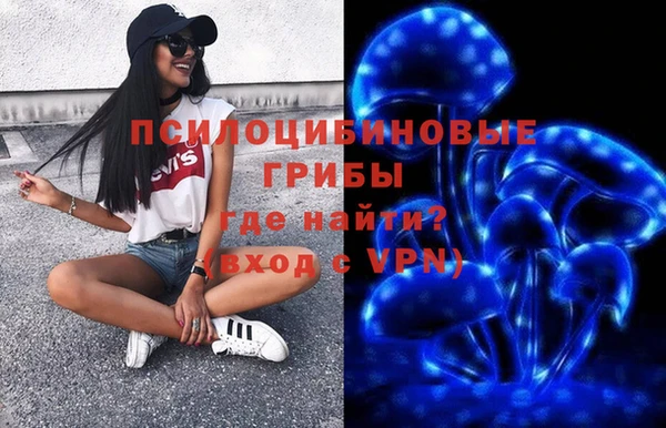 гидропоника Лабытнанги