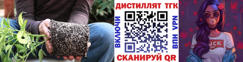 ТГК вейп  Купить где  Ак-Довурак 