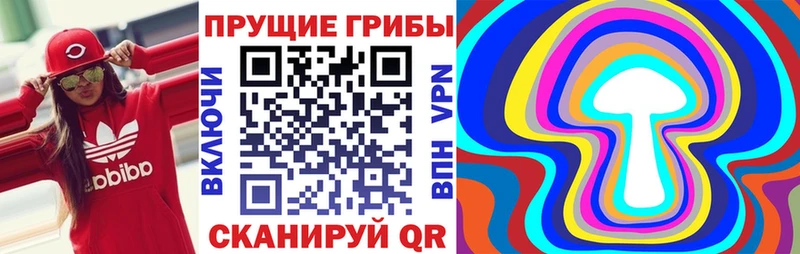 Псилоцибиновые грибы Psilocybine cubensis  Купить где  Ак-Довурак 